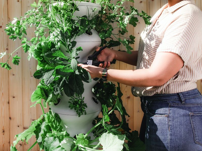 🌿 Paisagismo & Jardinagem Profissional 🌿